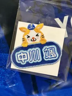 横浜DeNAベイスターズ　中川颯　選手ワッペン　DB.スターマン