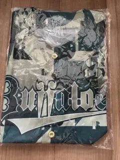 Item thumbnail for item e42c47da-29fb-4ddc-93a9-2b3aeb75fa52