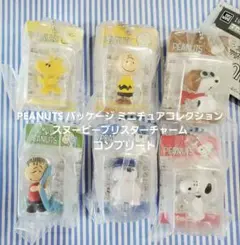 PEANUTS パッケージ ミニチュアコレクション スヌーピーブリスターチャーム