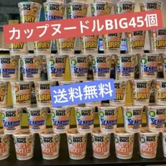 ⭐︎15,000円相当⭐︎日清 カップヌードル BIG カップ麺3種類 計45個