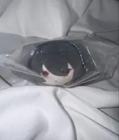 あんスタ 朔間凛月 もちもちマスコットミニ