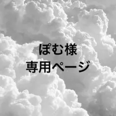 ぽむ様 リクエスト 2点 まとめ商品