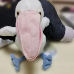 ぱくんちょペリカン　コシグロ