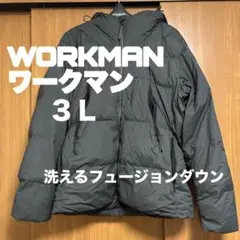 Item thumbnail for item 2435650f-54ff-466a-8059-8f8d75d96de6