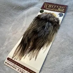 Item thumbnail for item 8d85d151-5d1d-45ef-a343-248f4bf4c7f0