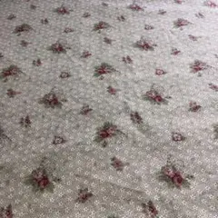 こうの早苗 生地