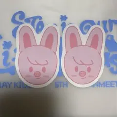 straykids スキズ ペンミ コンフェッティ 紙吹雪 落下物 スンミン