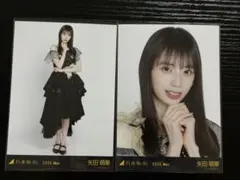 乃木坂46 生写真 スペシャル衣装49 矢田萌華のサムネイル