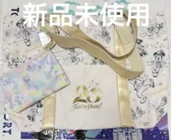 ディズニー　トートバッグ　20周年　ショッピングバッグ　クリスマス　リルリンリン