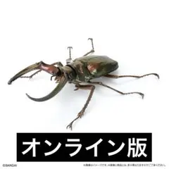いきもの大図鑑 くわがた10 フェイスタメルシワバネクワガタ グリーン