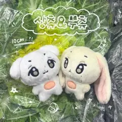 ALD1 ボイプラ2 サンヒョン ぬいぐるみ ドール10cm 인형 - メルカリ