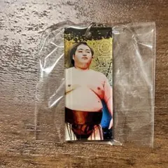 Item thumbnail for item d824a2f4-ca51-4a79-a989-83a3bec3f0de