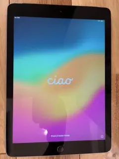 iPad 第6世代 32GB Cellular バッテリー95% 美品