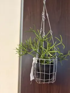 akiyama1012様 リクエスト 2点 まとめ商品