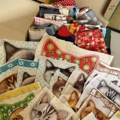 コヤンイサムチョン16匹　ハギレセット