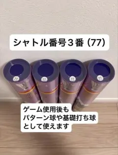 テレマークウロコ板スキー S BOUND112 169cm＋ビンディング セット