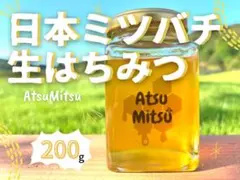 ＼厚保栗の里で育った‼︎／日本ミツバチ生はちみつ200g【2025年6月採蜜】のサムネイル