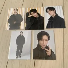 【本日発送可】SEVENTEEN FOLLOW トレカ セルカ ディエイト