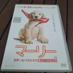 ランニングマン様 リクエスト 2点 まとめ商品