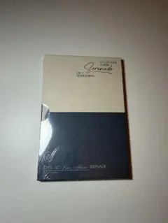 SEVENTEEN DxS 未開封