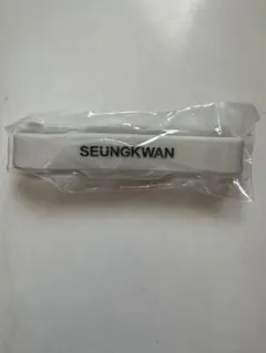 SEVENTEEN RIGHT HERE スングァン ラバーバンド＋キーホルダー