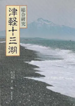 今だけセール！2万円お値引き！算命学 240干支 高尾義政監修 直弟子