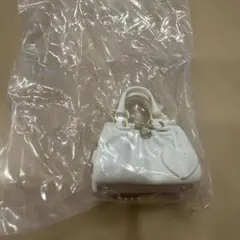 ガシャポンSamanthaThavasaミニチュアチャーム