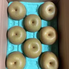 8月5日収穫分 茨城県産 幸水梨 秀品 3L 3キロのサムネイル