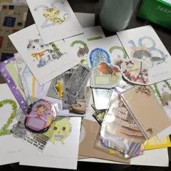 可愛い動物イラストのカードセット