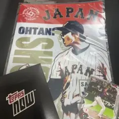 大谷翔平 wbcクリアファイル＆記念カードセット