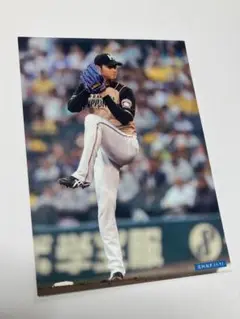 ⑤大谷翔平 日本ハムファイターズ 公式フォトカード