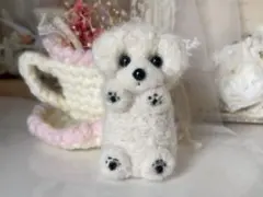 羊毛フェルト　リピ様1500円