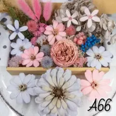 A66/452 薄花 ジニアのプリザーブドフラワー 花材セット 詰め合わせ
