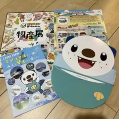 ポケモンローカルActs 物産展 ミジュマル サンバイザー ガイドブック