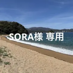 SORA様専用シーグラスアート