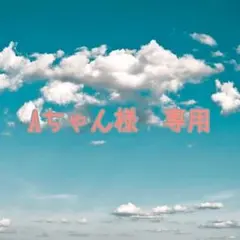 Aちゃん様　専用