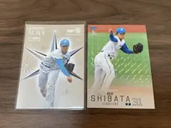 BBM 柴田獅子 ルーキー SHINING NOVA ファイターズ