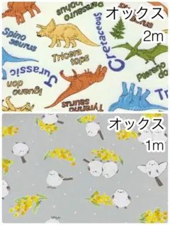 ウィンターコスモス様 リクエスト 2点 まとめ商品