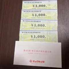 4000円分　ビックカメラ　株主優待