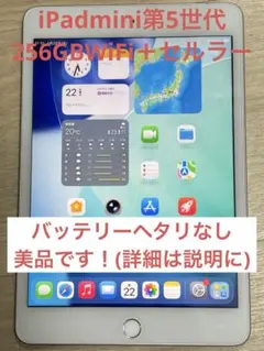 美品 Apple iPadmini第5世代 Wi-Fi＋セルラー 256GB