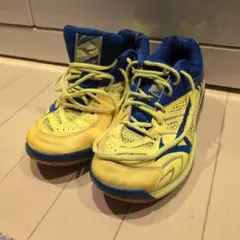 バドミントン シューズ イエロー/ブルー