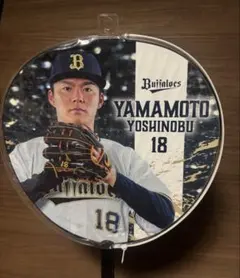 超貴重】大谷翔平 在籍時！北海道日本ハムファイターズ うちわ 選手