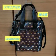 Item thumbnail for item 73715d54-427a-4eff-8aca-67a79113df7a