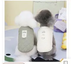 Item thumbnail for item 1587c270-055c-48b9-8ca6-ed772125c7cd