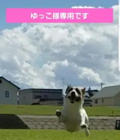 ♡ゆっこ様専用です♡