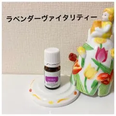 2026年最新】ヤングリビング ラベンダーの人気アイテム - メルカリ