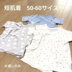 Item thumbnail for item 323e76e8-a62b-4fc1-a87c-c78fcf4630b8