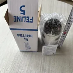 FELINE 5 マトリョーシカ 猫 置物のサムネイル