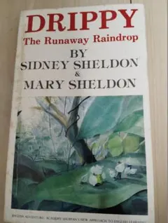 DRIPPY The Runaway Raindrop