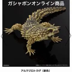 アルマジロトカゲ いきもの大図鑑アドバンス SELECTED EDITION